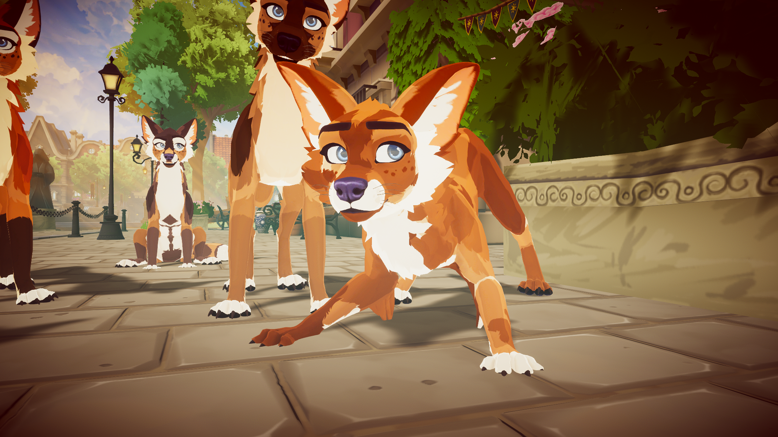 DovaDog