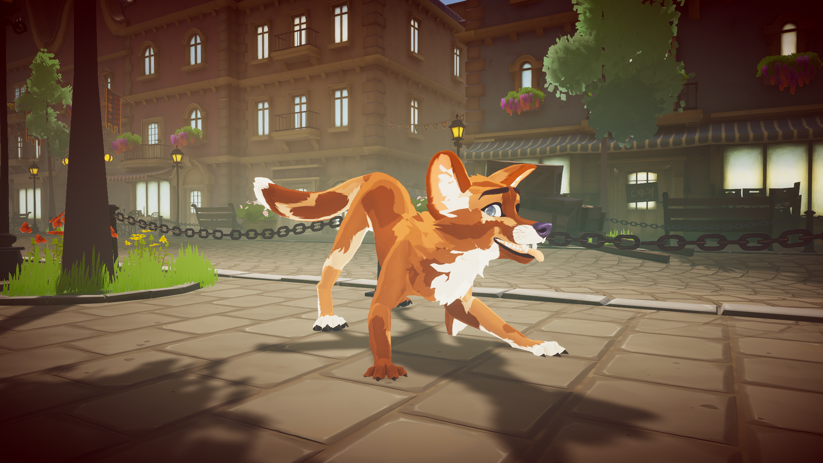 DovaDog