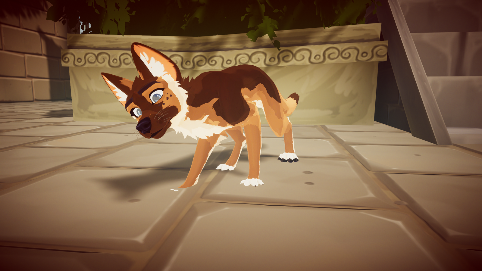 DovaDog