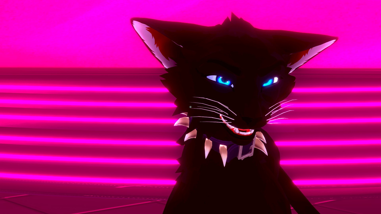 DovaCat