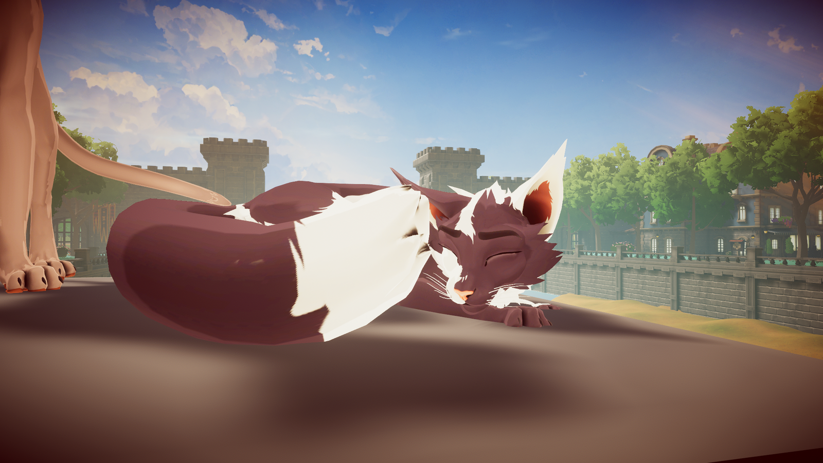 DovaCat