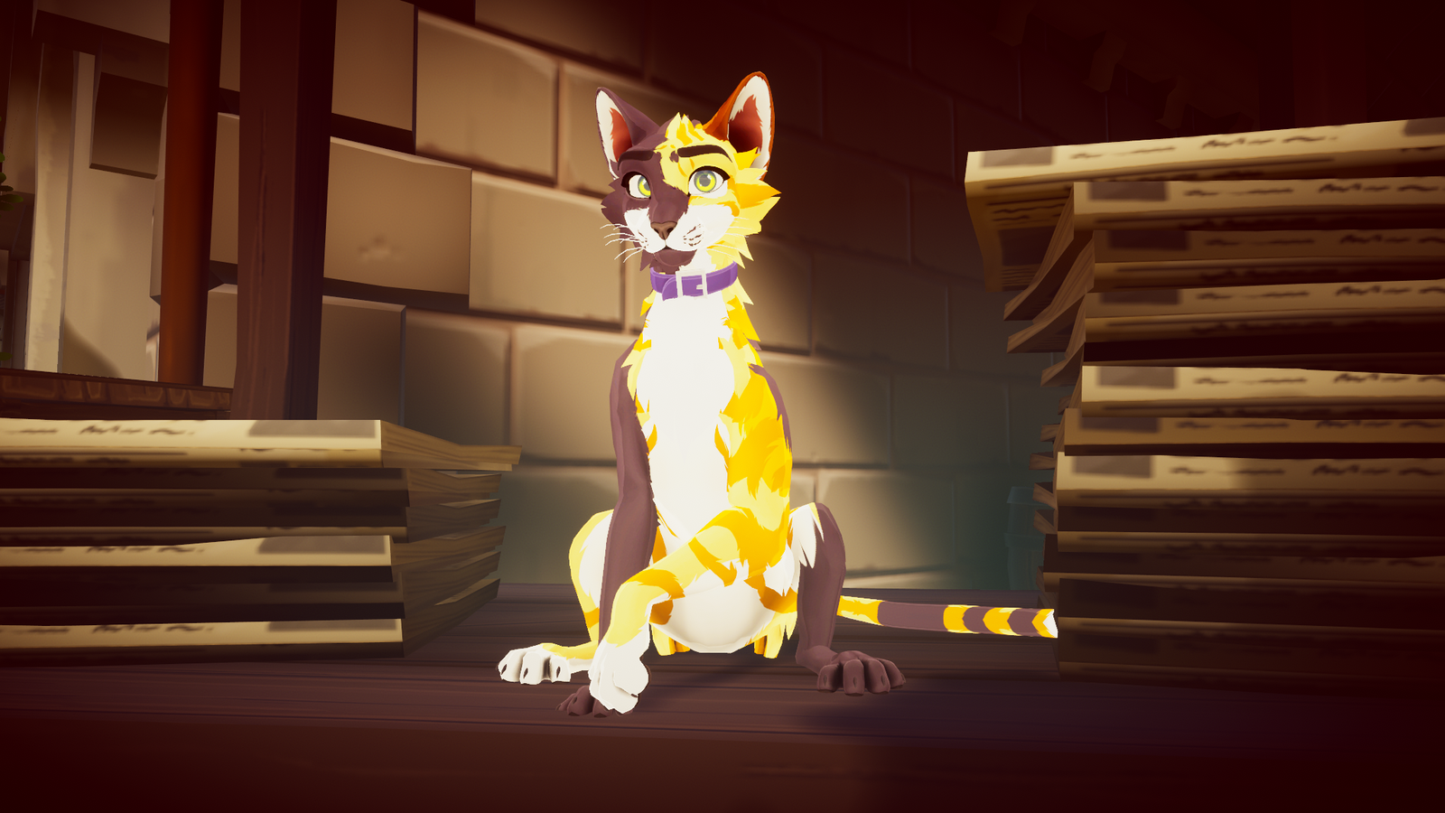 DovaCat