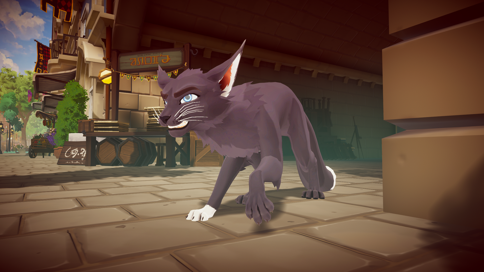 DovaCat
