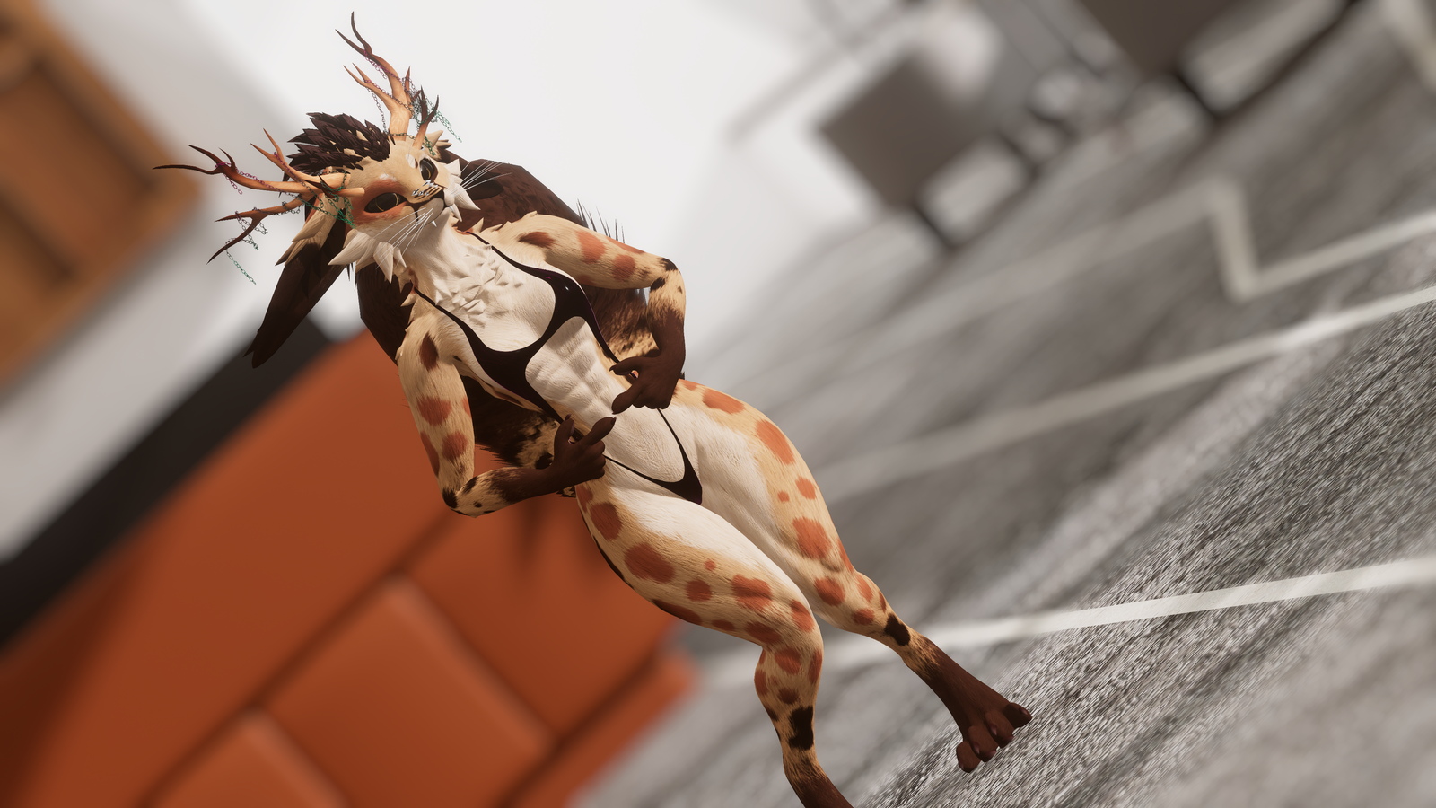 Latte - Rexouium texture