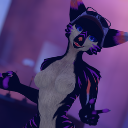 Apollo - Viwi Texture