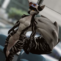 Cookie - Viwi Texture