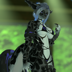 Ebony - Calypso Shark