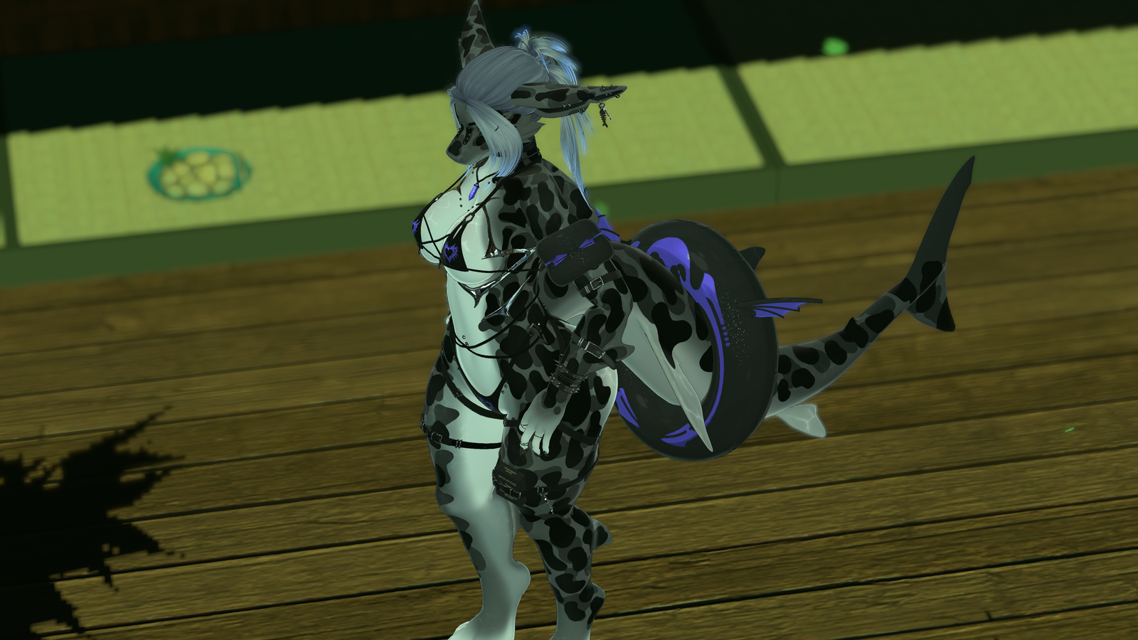 Ebony - Calypso Shark