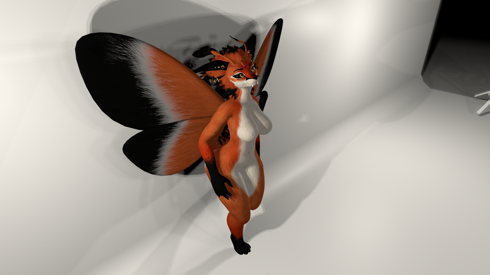 Maggie - Fox Moth