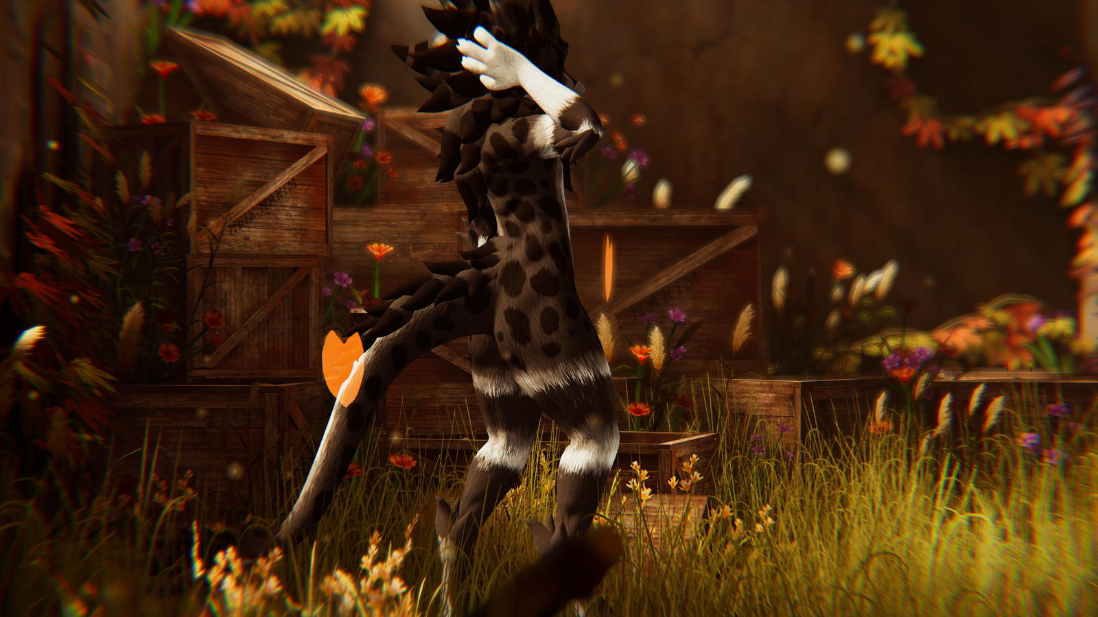 Devon - Nardo Dragon