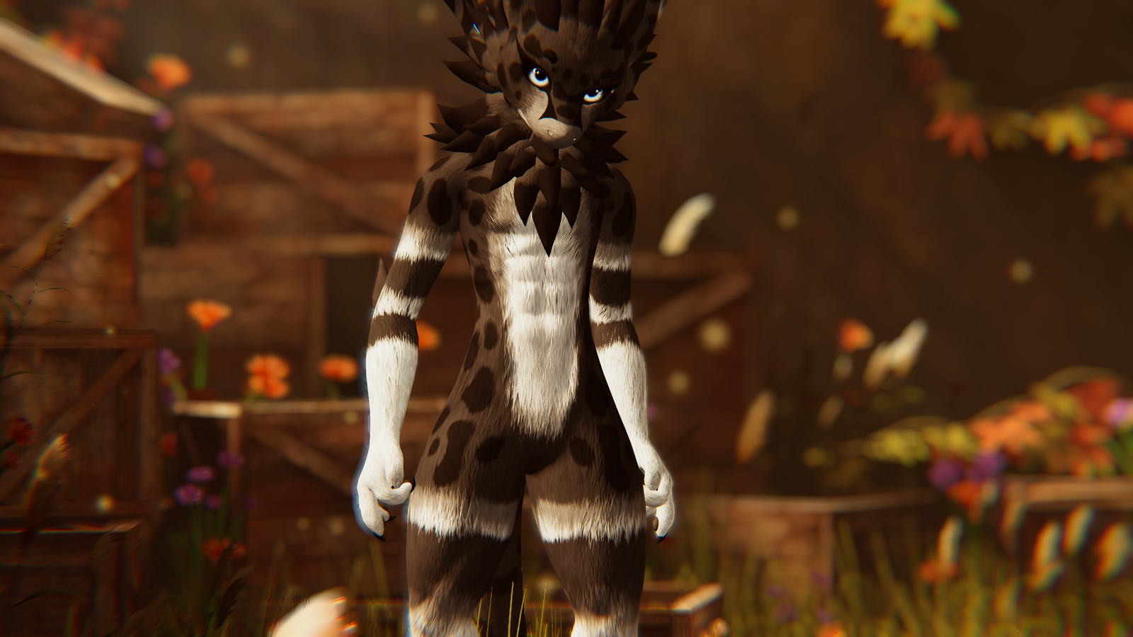 Devon - Nardo Dragon