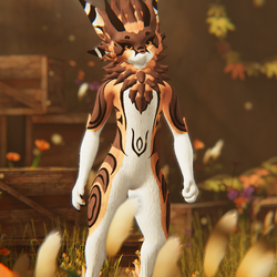 Bellamy - Nardo Dragon