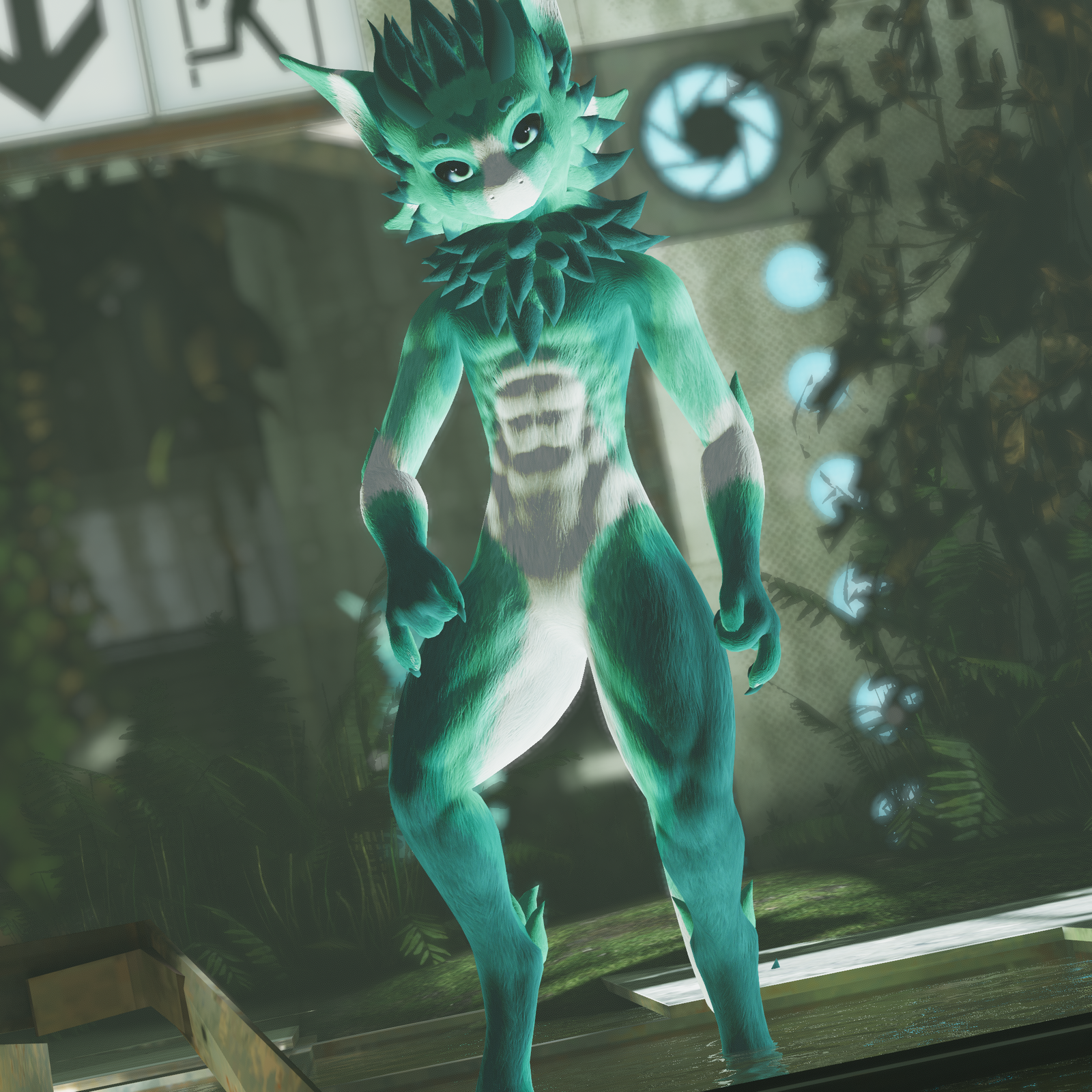 Alder - Nardo Dragon