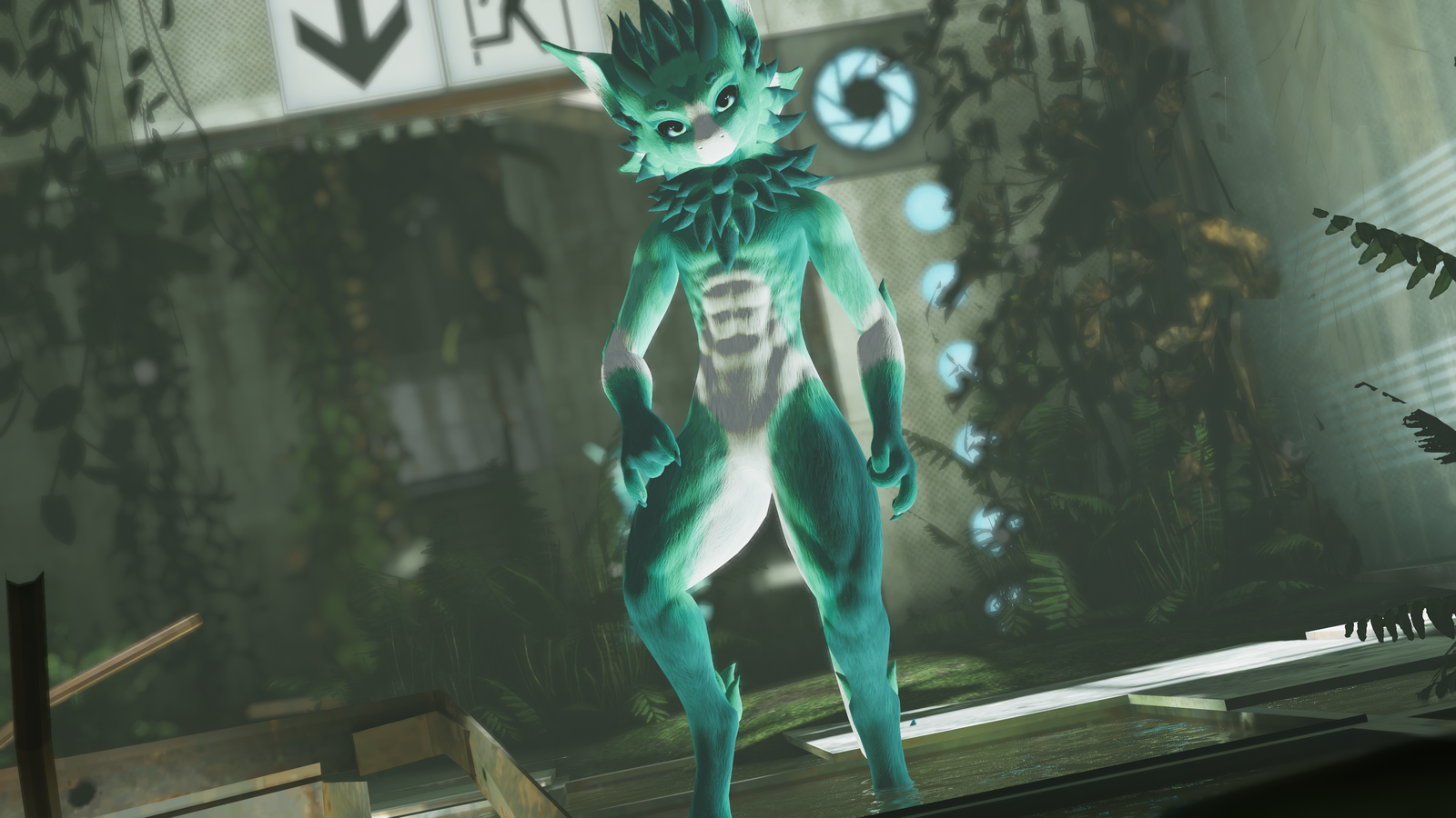 Alder - Nardo Dragon