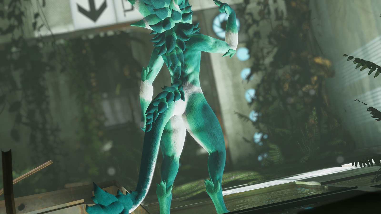 Alder - Nardo Dragon