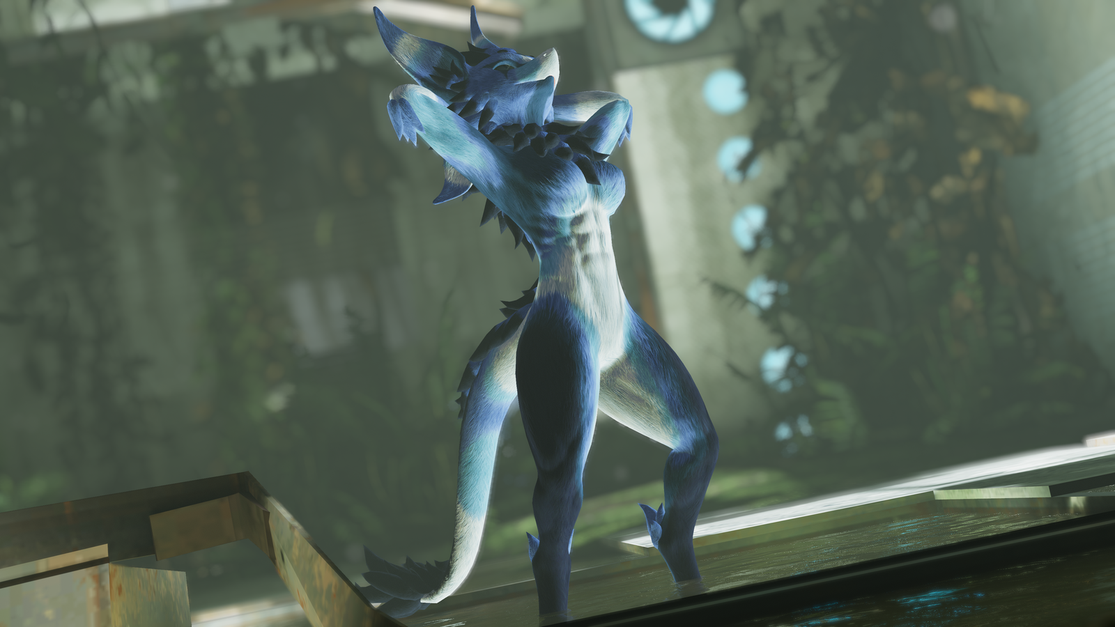 Berry - Nardo Dragon