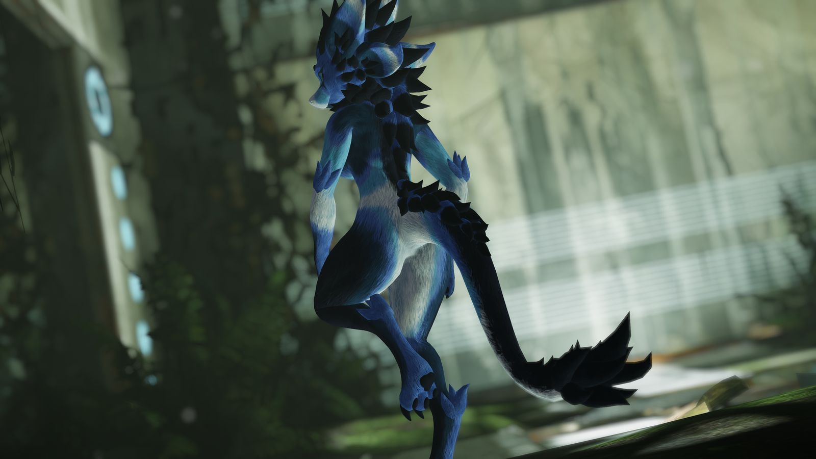 Berry - Nardo Dragon