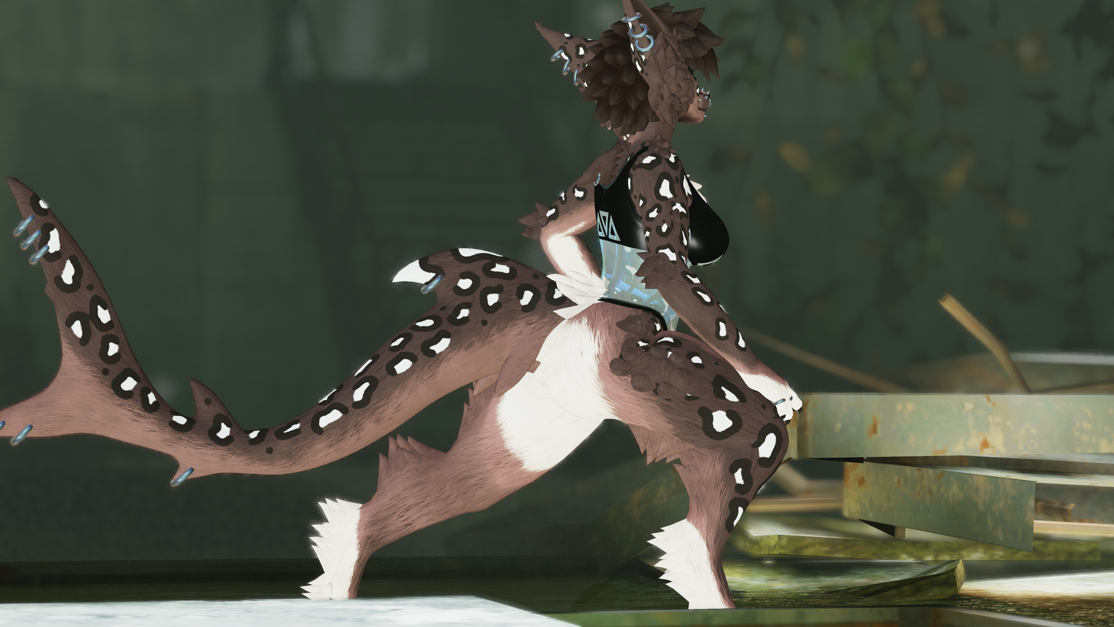 Thalassa - Malibu Sturmwolf