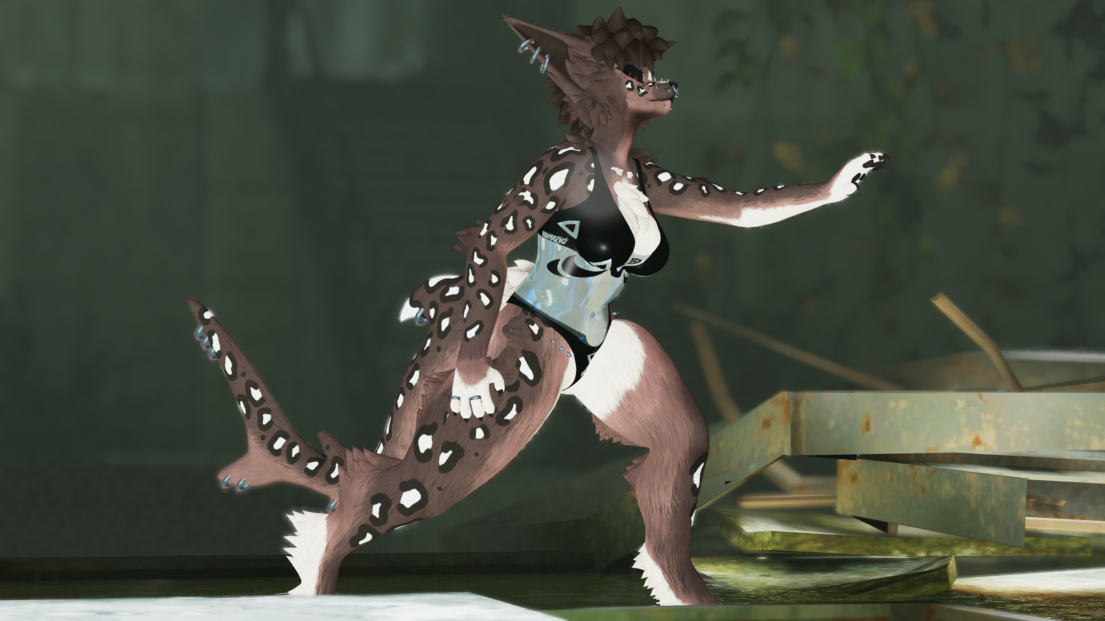 Thalassa - Malibu Sturmwolf