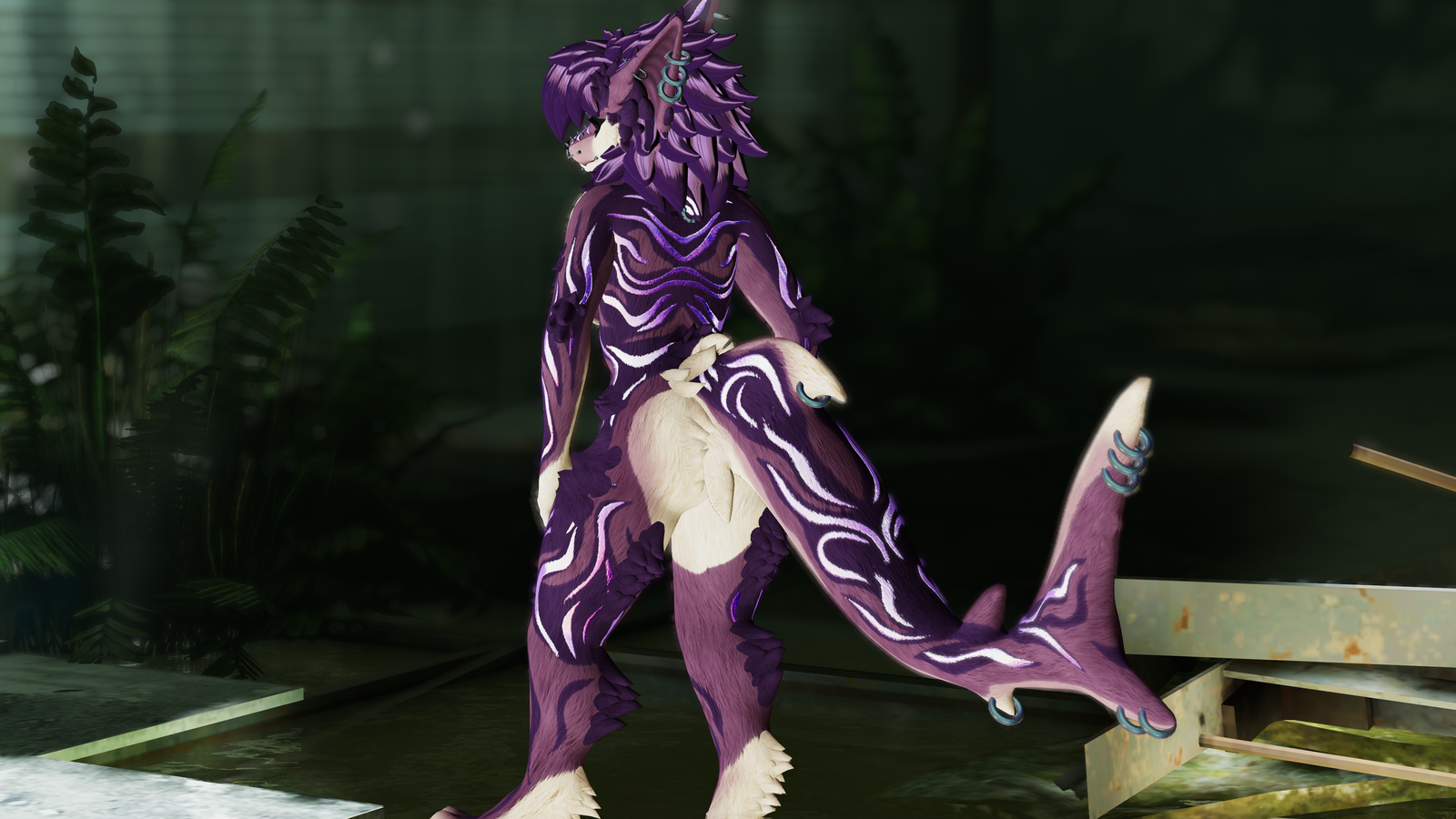 Amelia - Malibu Sturmwolf