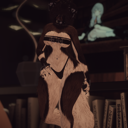 Hazel - Bella Goth Pup