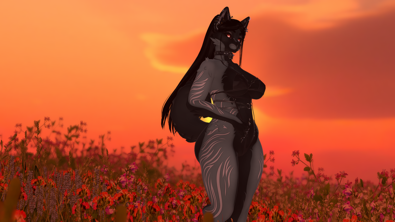 Ebony - Foxipaws Roxy