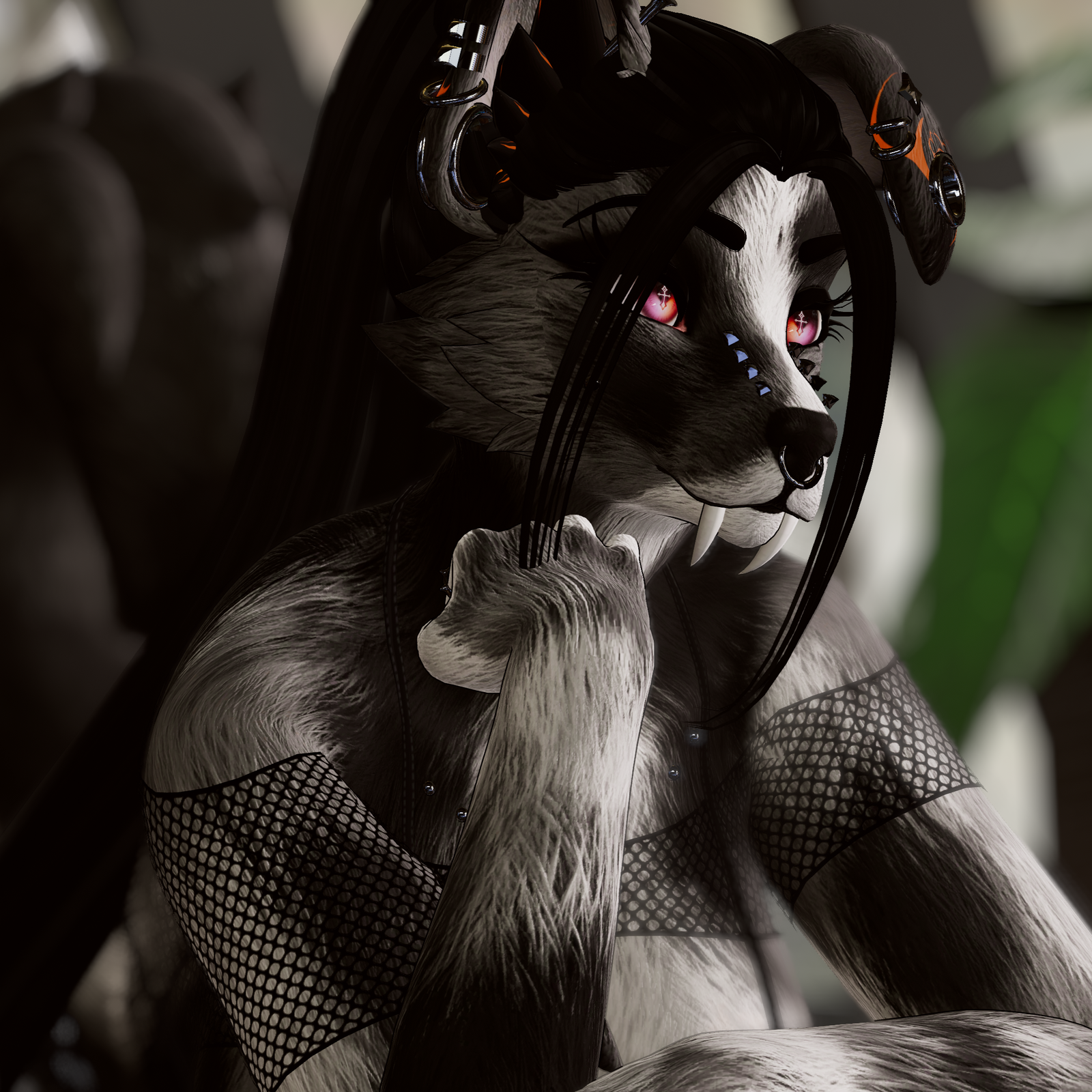 Luna - Foxipaws Roxy