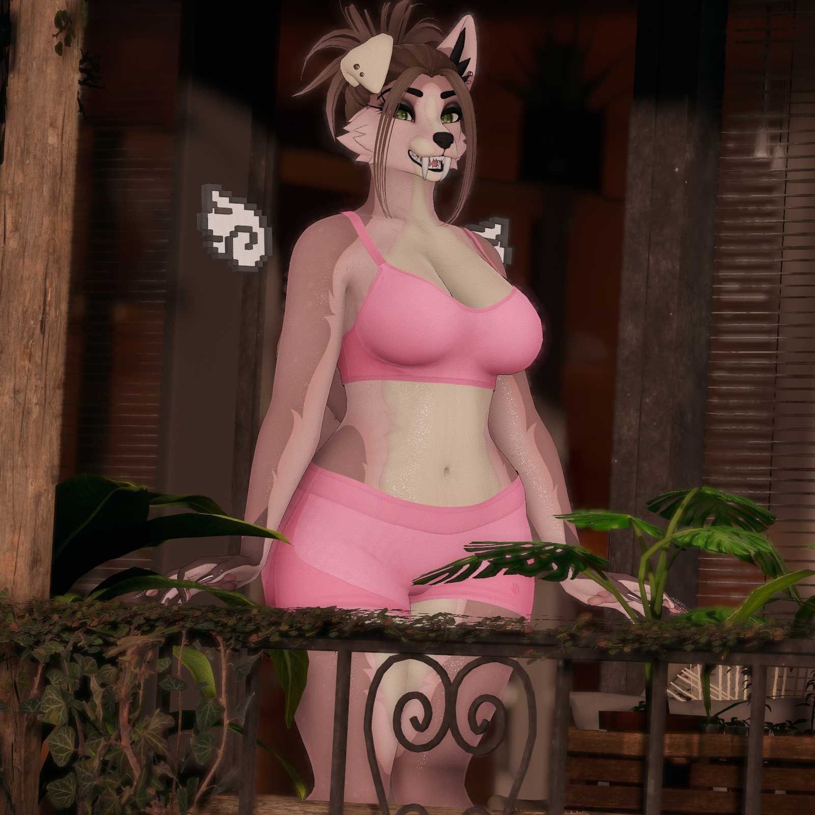 Lola - Foxipaws Roxy