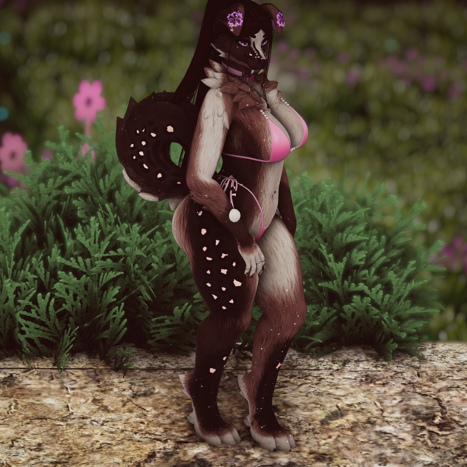 Persephone - Foxipaws Roxy