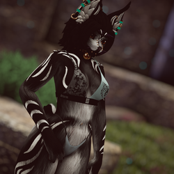 Tara - Akiva/ Ziva Textures
