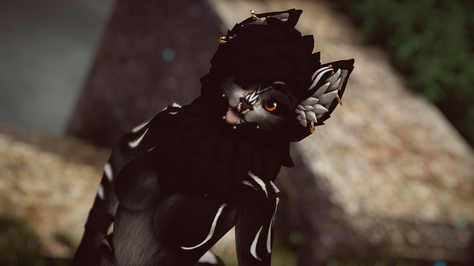 Tara - Akiva/ Ziva Textures