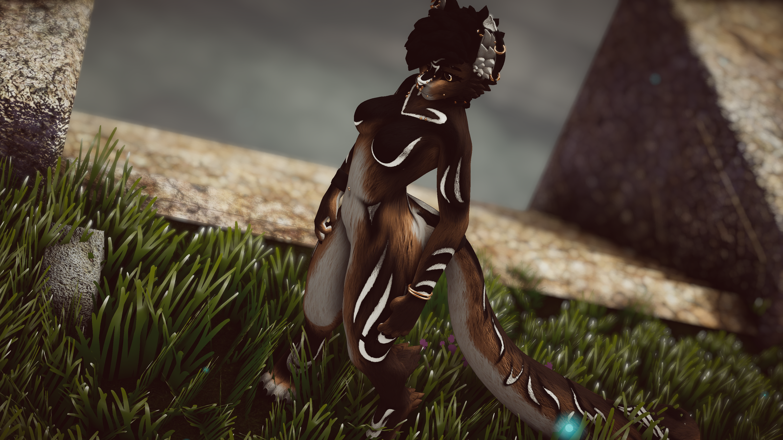 Dara - Akiva/ Ziva Textures