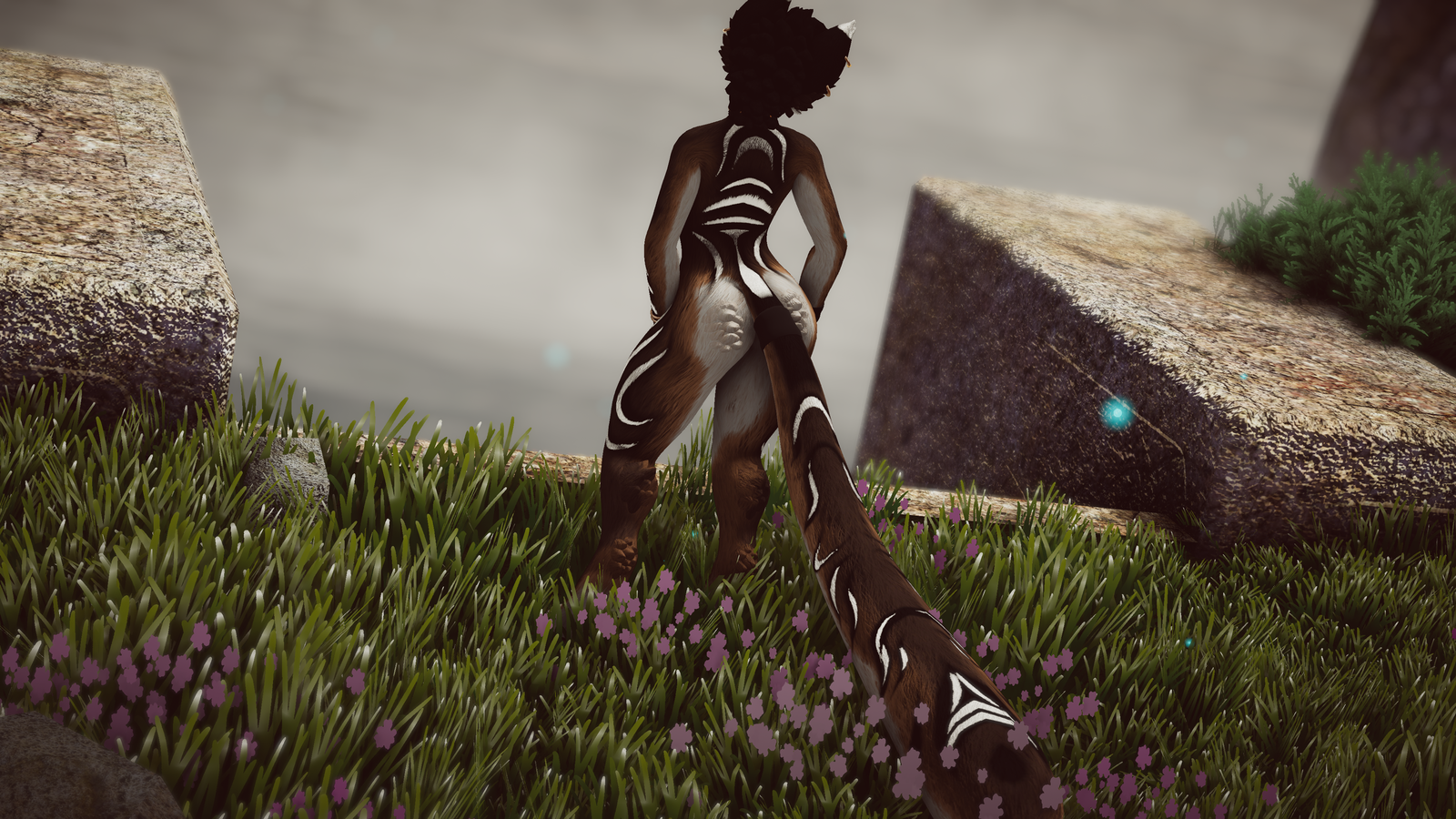 Dara - Akiva/ Ziva Textures