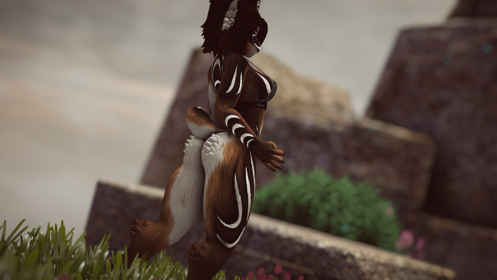 Dara - Akiva/ Ziva Textures