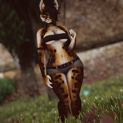 Leila - Nyx Foxipaws