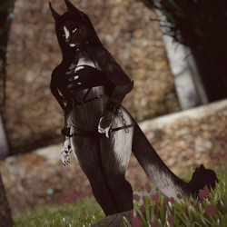 Feydra - Nyx Foxipaws