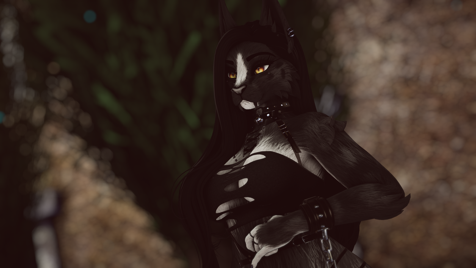 Feydra - Nyx Foxipaws