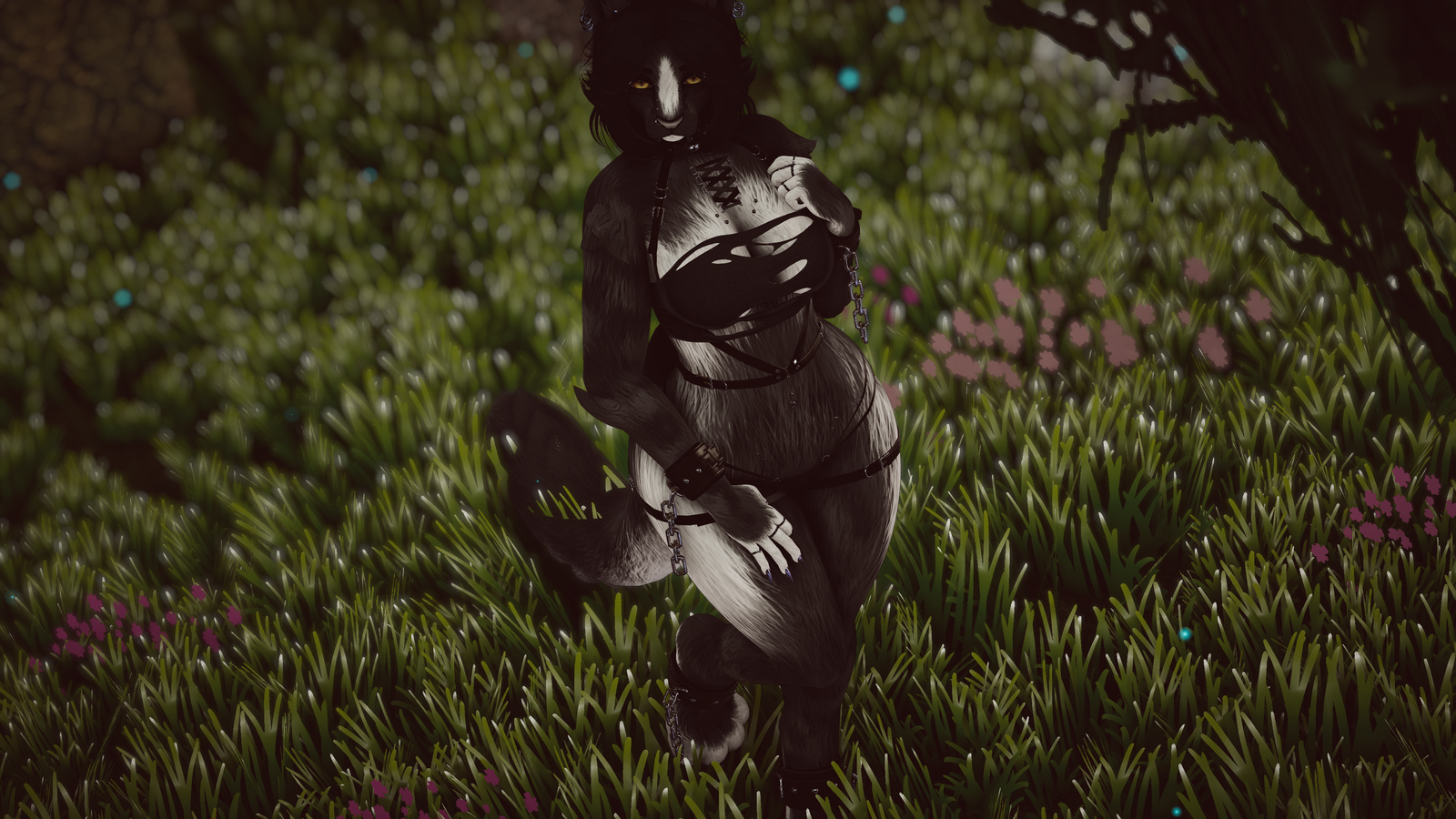Feydra - Nyx Foxipaws