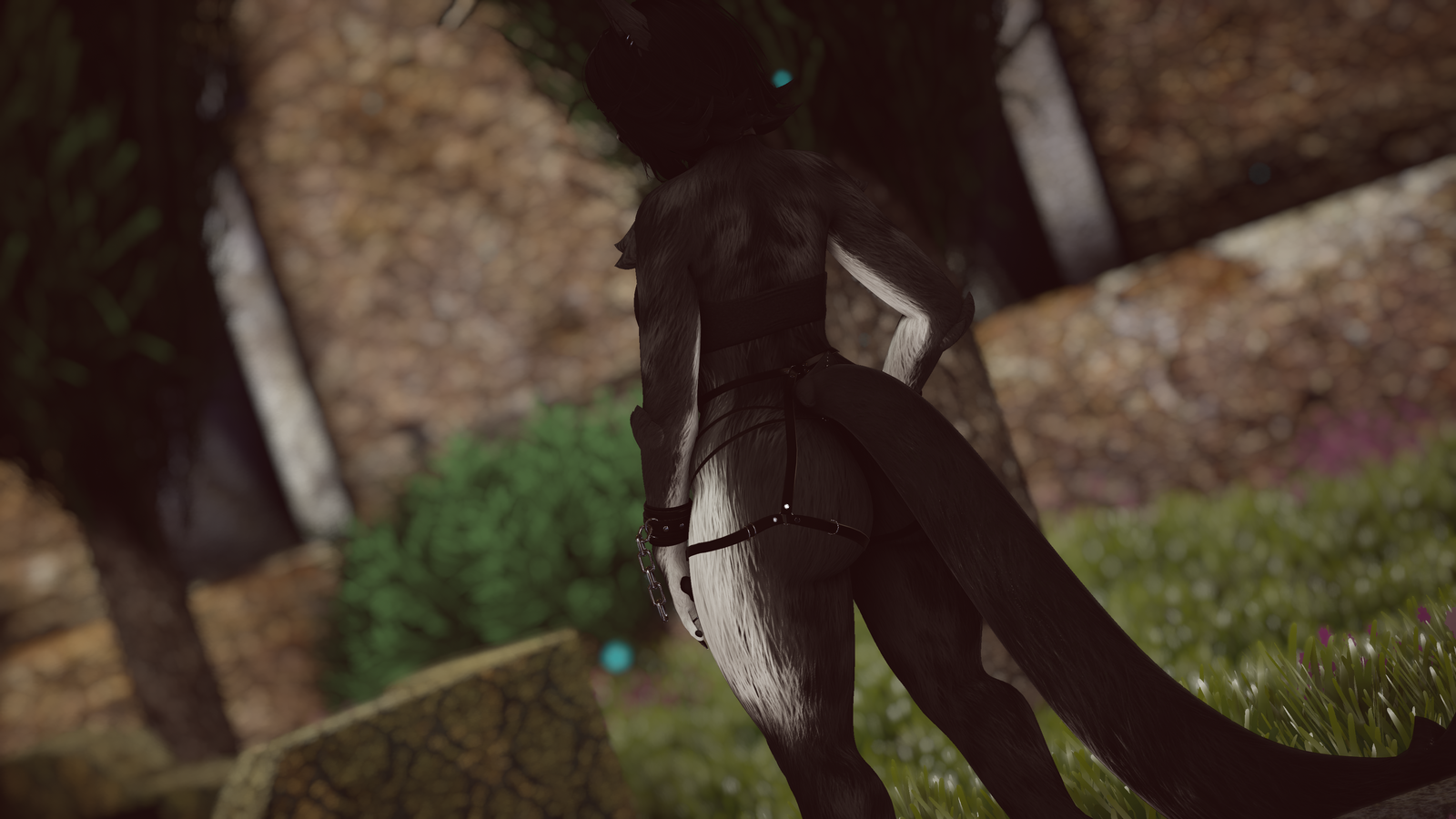 Feydra - Nyx Foxipaws