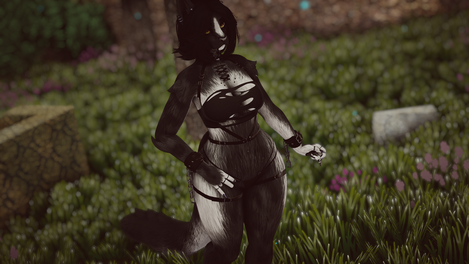 Feydra - Nyx Foxipaws