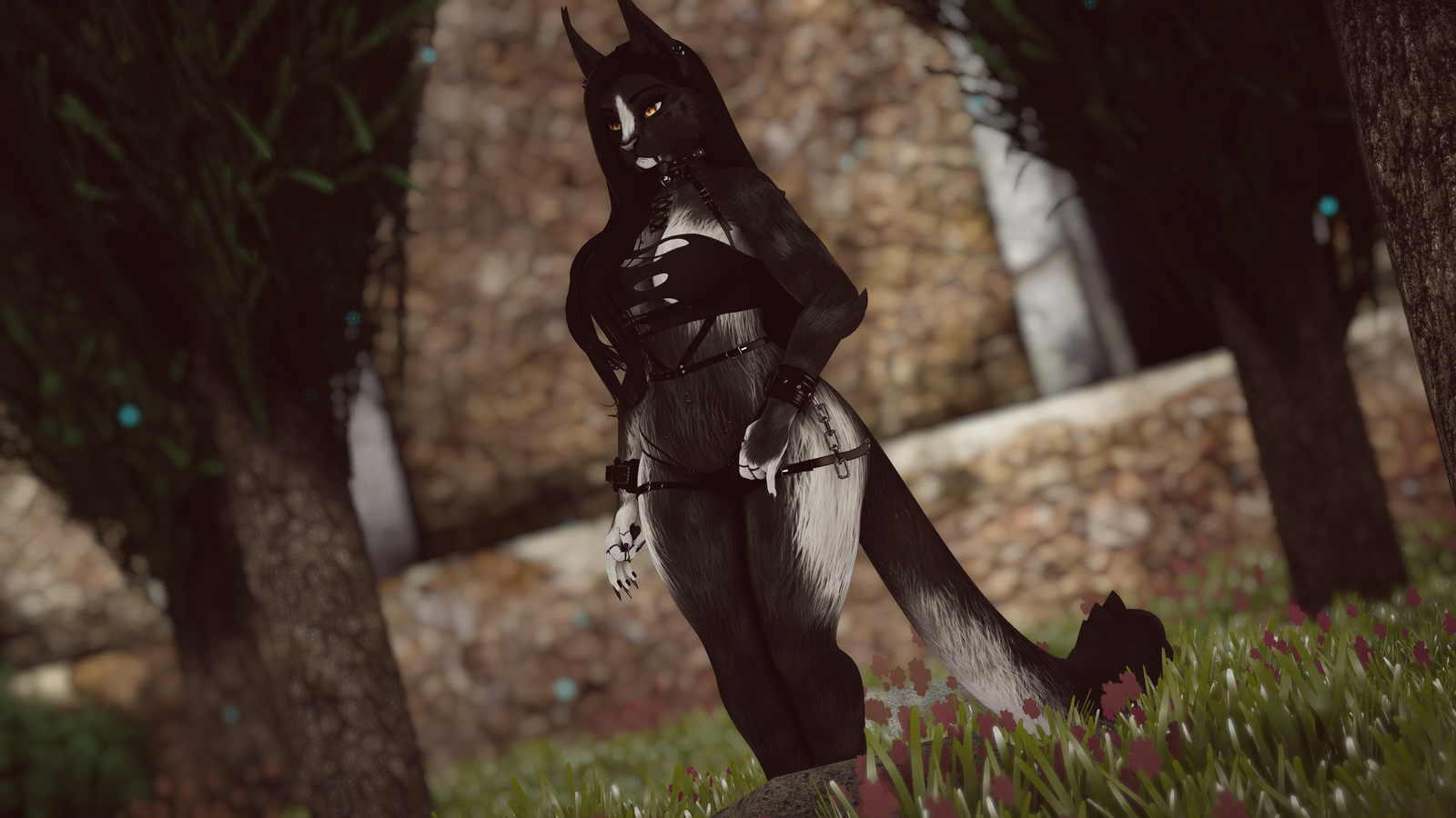Feydra - Nyx Foxipaws