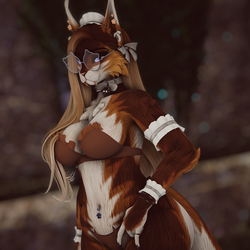 Stella - Nyx Foxipaws