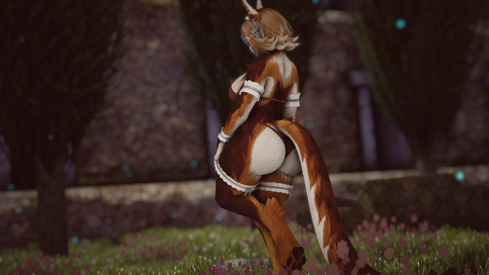 Stella - Nyx Foxipaws