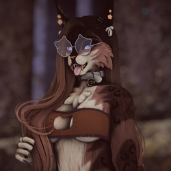 Valentin - Nyx Foxipaws
