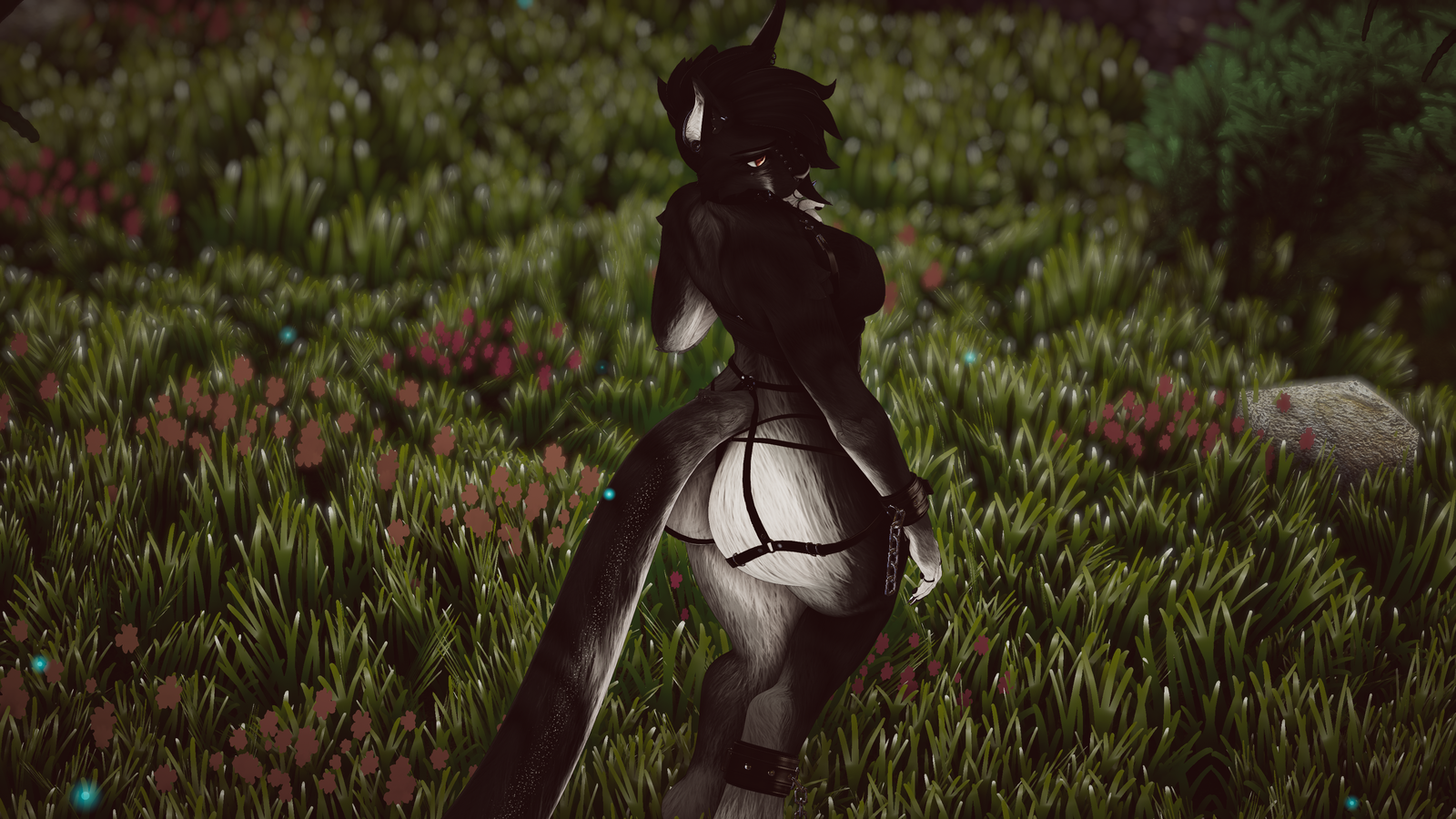 Luciana - Nyx Foxipaws