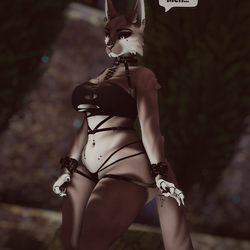 Tresa - Nyx Foxipaws