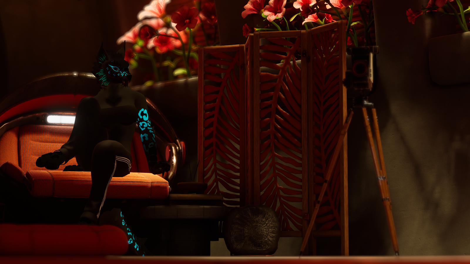 Howl's Origin Cat Edit