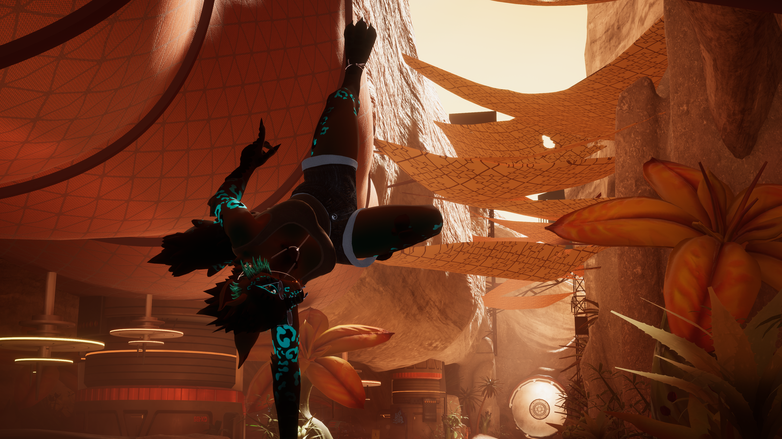 Howl's Origin Cat Edit