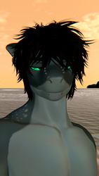 Whale Shark Texture - Shawn The Shark