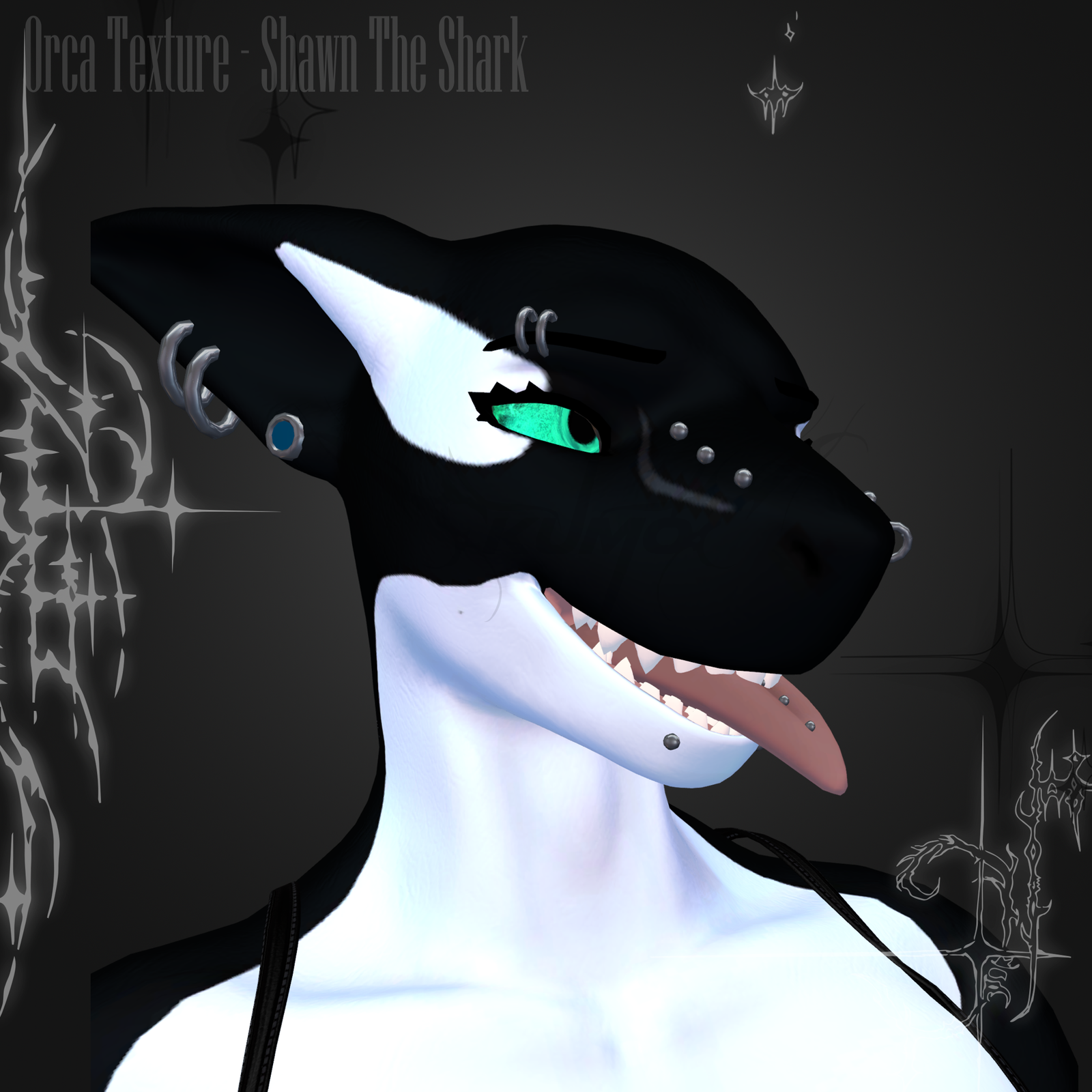 Orca Texture - Shawn The Shark